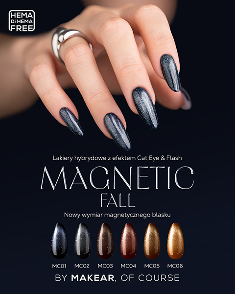 Magnetic Fall
